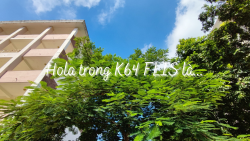 Hola trong ký ức của các bạn sinh viên K64 Khoa Thông tin - Thư viện