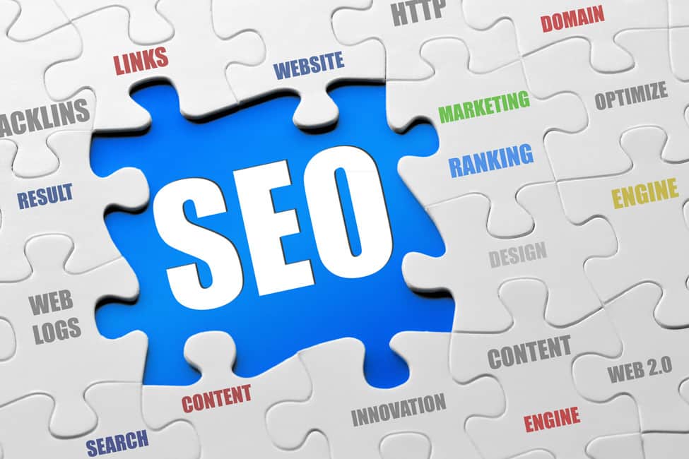 seo information management